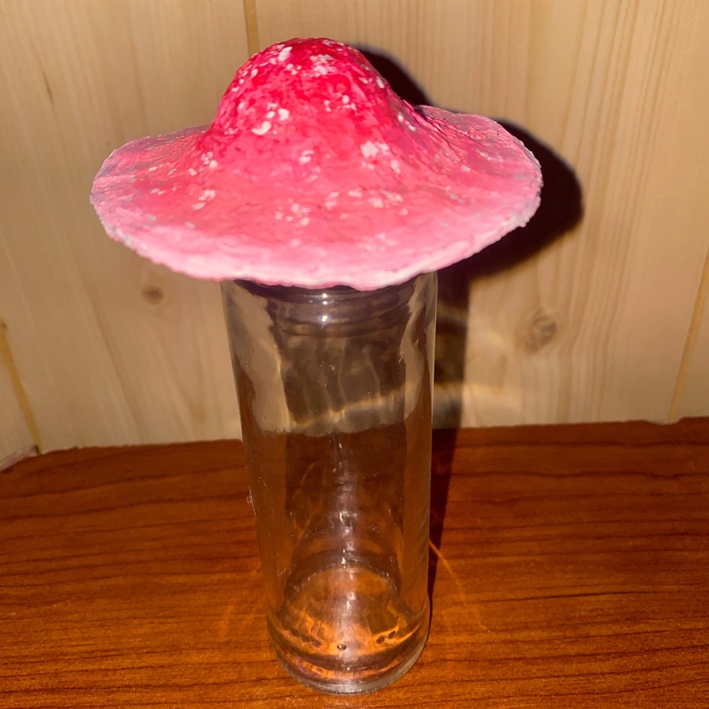 Mushroom jar 🌟